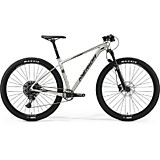 Merida Big Nine NX Edition SilkTitan (Silver) 2019 L(19')(90035)